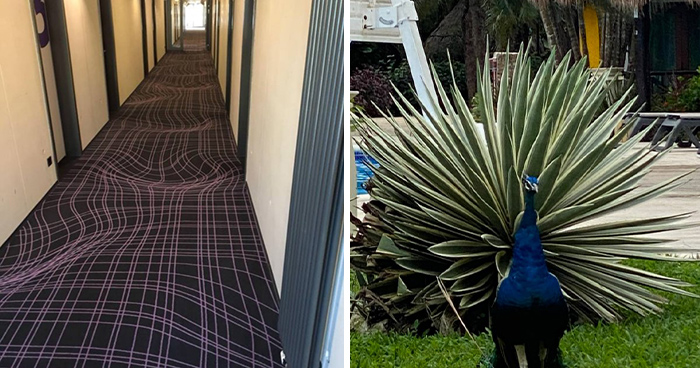 69 Photos That You May Need To Look Twice At To Understand