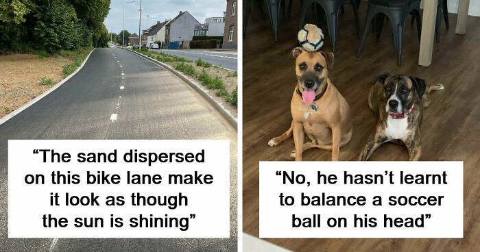 69 Photos That You May Need To Look Twice At To Understand