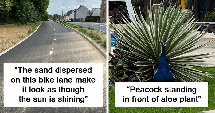 69 Photos That You May Need To Look Twice At To Understand
