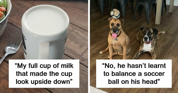 69 Photos That You May Need To Look Twice At To Understand