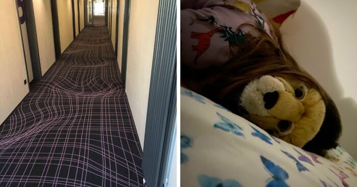 69 Photos That You May Need To Look Twice At To Understand