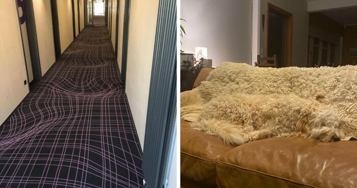 69 Photos That You May Need To Look Twice At To Understand
