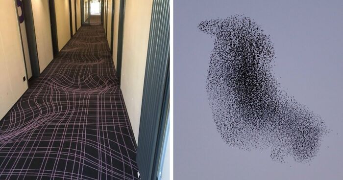 69 Photos That You May Need To Look Twice At To Understand