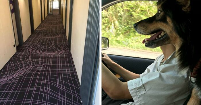 69 Photos That You May Need To Look Twice At To Understand