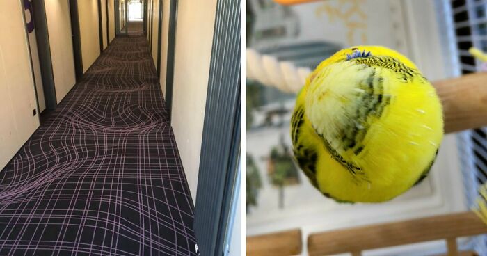 69 Photos That You May Need To Look Twice At To Understand