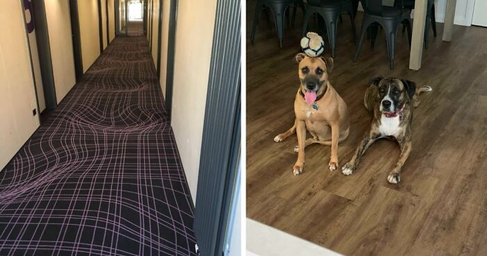 69 Photos That You May Need To Look Twice At To Understand