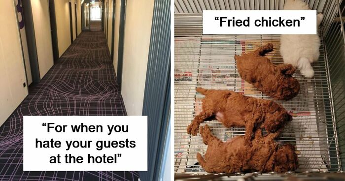 69 Photos That You May Need To Look Twice At To Understand