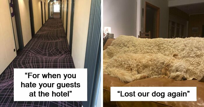 69 Photos That You May Need To Look Twice At To Understand