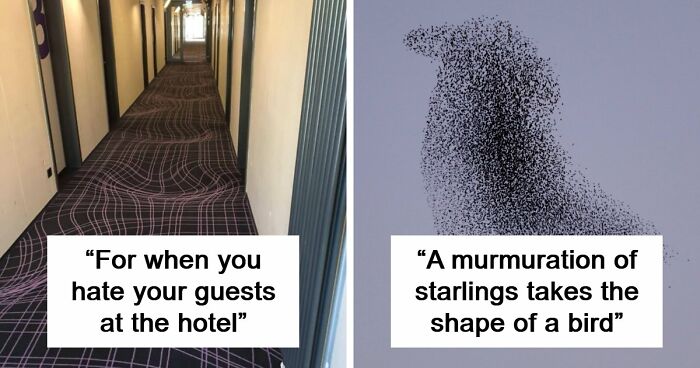 69 Photos That You May Need To Look Twice At To Understand