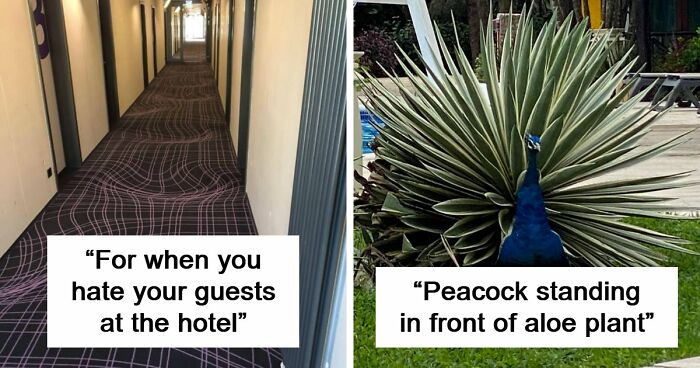 69 Photos That You May Need To Look Twice At To Understand