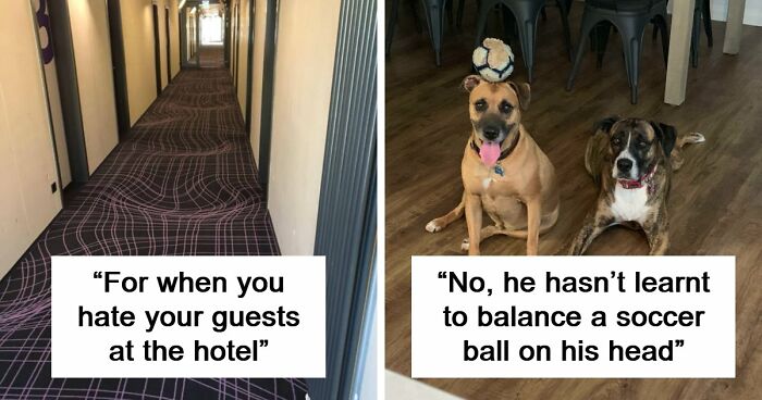 69 Photos That You May Need To Look Twice At To Understand