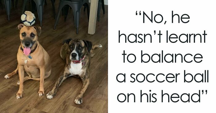 69 Photos That You May Need To Look Twice At To Understand