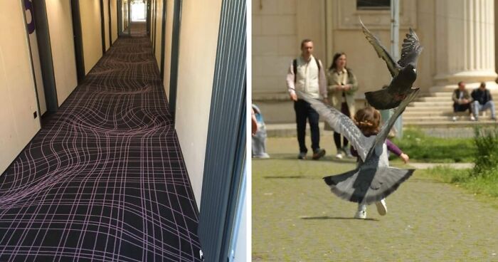 69 Photos That You May Need To Look Twice At To Understand