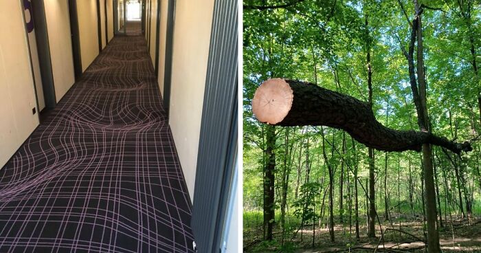 69 Photos That You May Need To Look Twice At To Understand