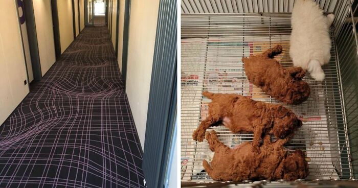 69 Photos That You May Need To Look Twice At To Understand