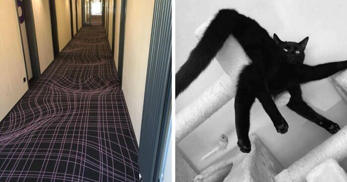 69 Photos That You May Need To Look Twice At To Understand
