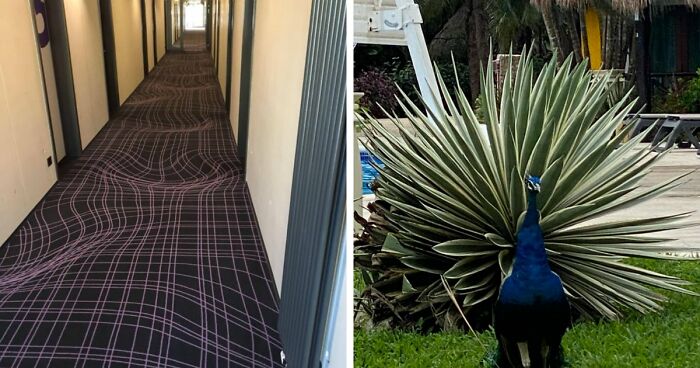 69 Photos That You May Need To Look Twice At To Understand