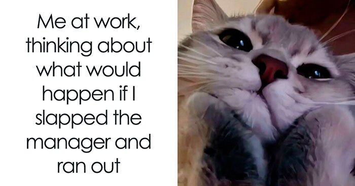 34 Painfully Relatable Memes To Help You Cope With Having To Work Tomorrow Again