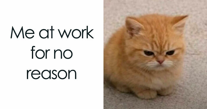 34 Painfully Relatable Memes To Help You Cope With Having To Work Tomorrow Again