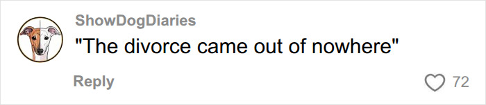 A screenshot of a social media comment from ShowDogDiaries saying The divorce came out of nowhere regarding a viral World Cup moment. A screenshot of a social media comment from ShowDogDiaries saying The divorce came out of nowhere regarding a viral World Cup moment.