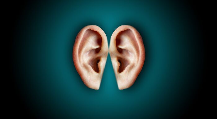 Image of two human ears facing each other, set against a dark teal background, representing weird general knowledge. Image of two human ears facing each other, set against a dark teal background, representing weird general knowledge.