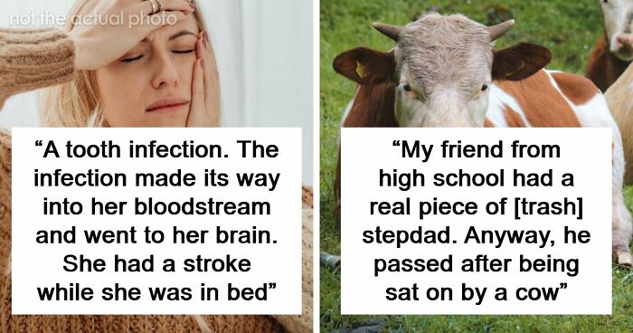 “I Didn’t Even Know That Was Possible: 80 Of The Most Shocking And Unusual Ways People Have Lost Their Lives