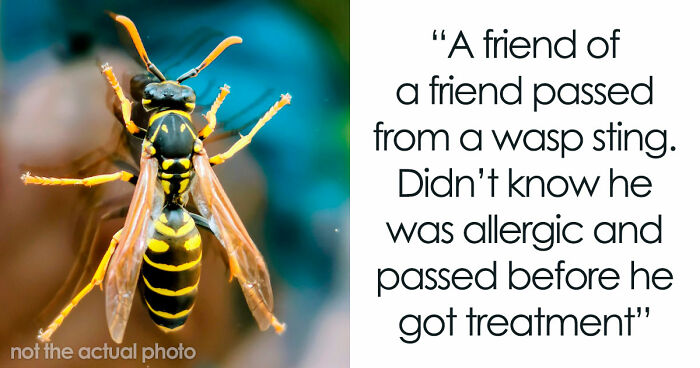 “I Didn’t Even Know That Was Possible: 80 Of The Most Shocking And Unusual Ways People Have Lost Their Lives