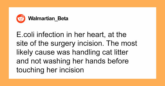 “I Didn’t Even Know That Was Possible: 80 Of The Most Shocking And Unusual Ways People Have Lost Their Lives