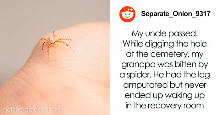 “I Didn’t Even Know That Was Possible: 80 Of The Most Shocking And Unusual Ways People Have Lost Their Lives