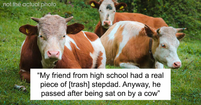 “I Didn’t Even Know That Was Possible: 80 Of The Most Shocking And Unusual Ways People Have Lost Their Lives