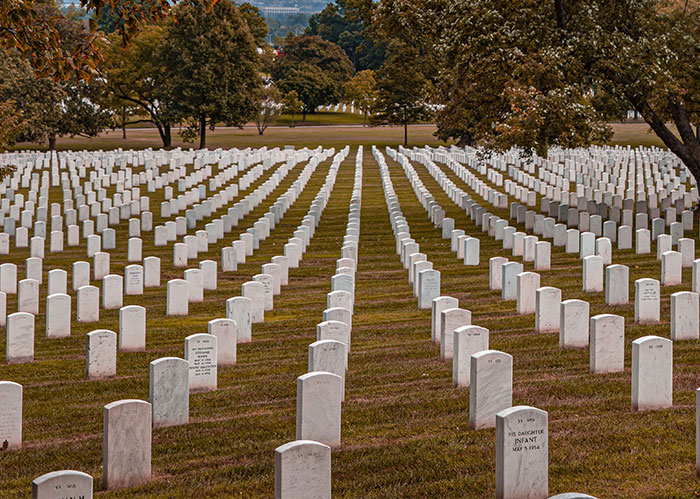Rows of white gravestones in a military cemetery. Explore facts about America's history and sacrifices.