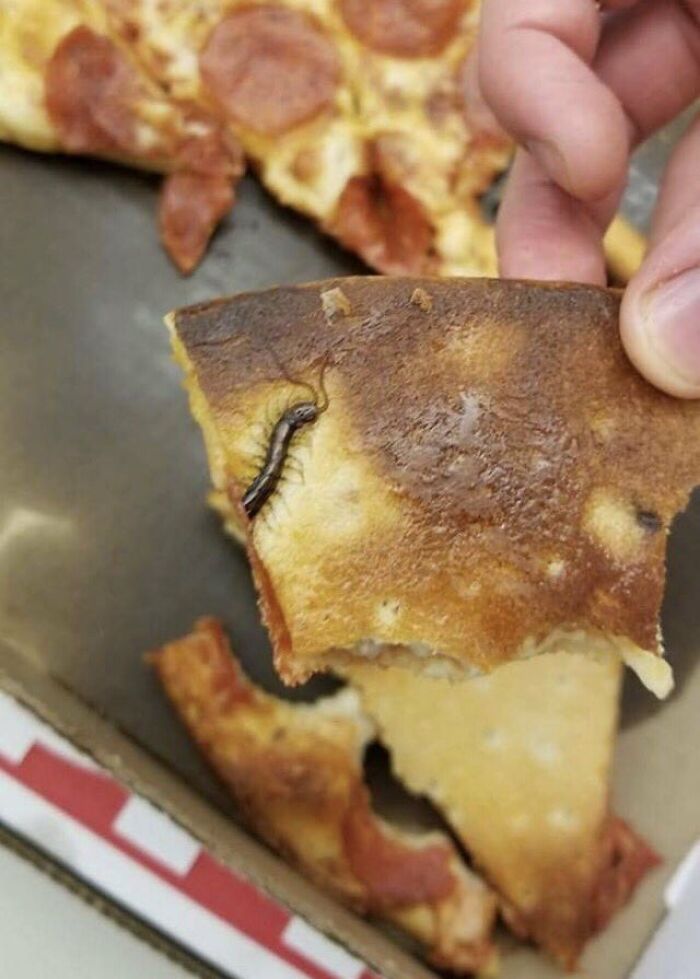 A slice of pepperoni pizza with a centipede crawling on the crust, a creepy and confusing image.