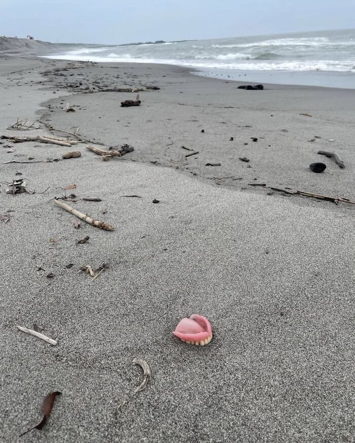 A pair of pink dentures lying on a grey sandy beach with driftwood and debris, creating a creepy and confusing sight by the ocean.