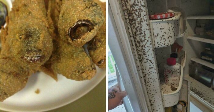 73 Creepy And Confusing Images That Need A Priest