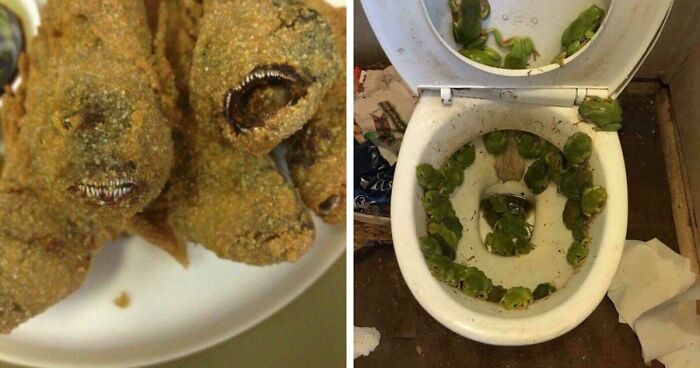73 Creepy And Confusing Images That Need A Priest
