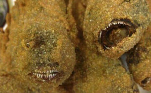 73 Creepy And Confusing Images That Need A Priest