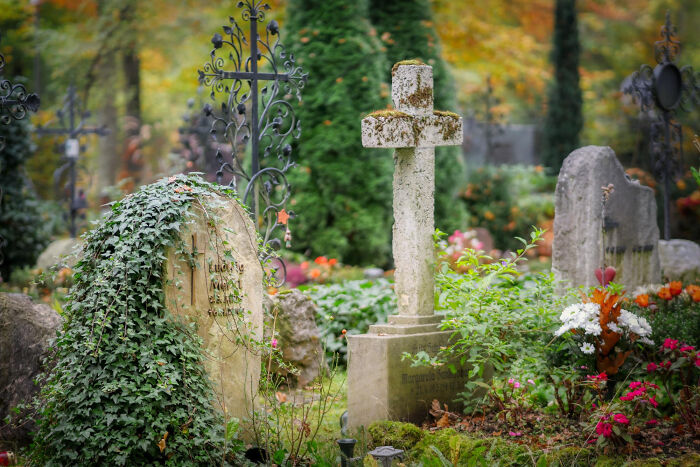 An old grave with a cross and ivy, evoking reflection on past childhood experiences.