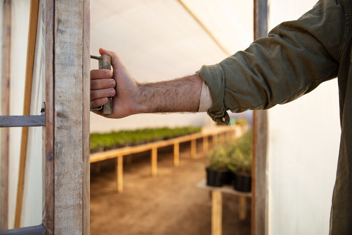 A man opening a greenhouse door, revealing plants inside, suggesting an unbelievable childhood experience.