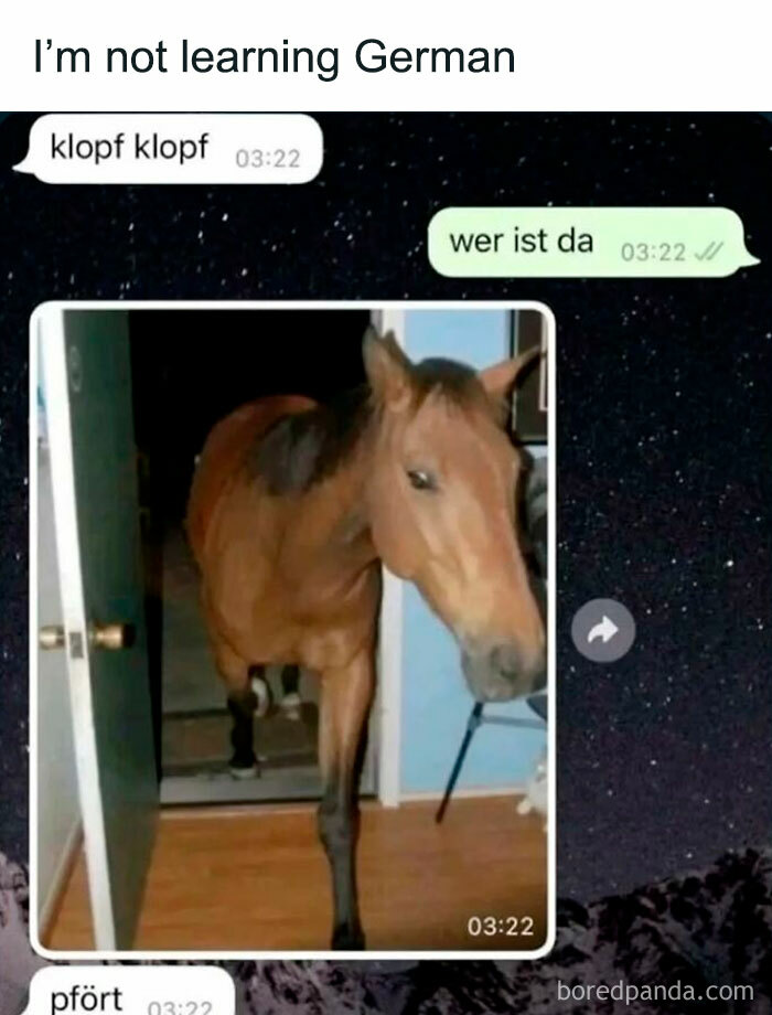 A horse walks through a doorway in a WhatsApp chat screenshot, a painfully cringe post.