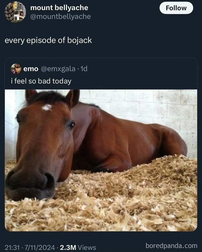 A screenshot of a tweet with a picture of a horse lying down, representing painfully cringe posts about feeling bad.