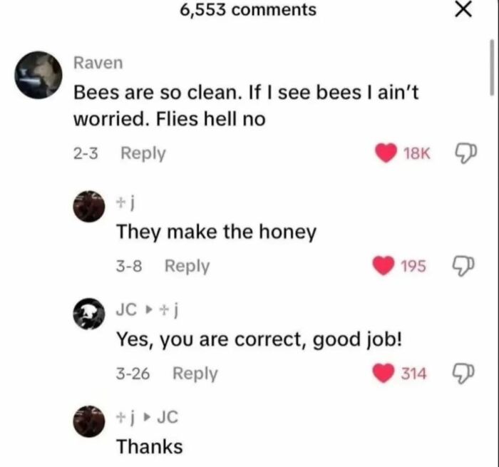 A screenshot of social media comments about bees, featuring a conversation with cringe posts about insects.