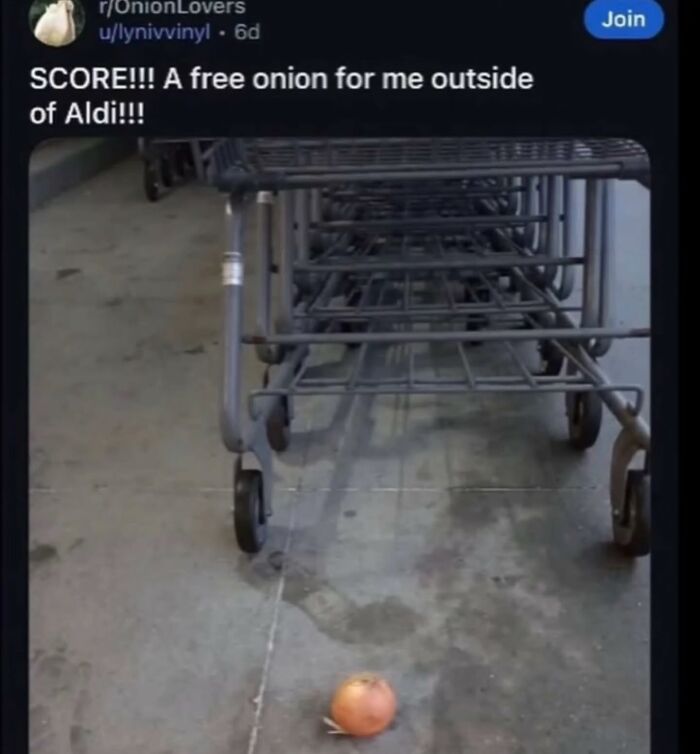 A single onion on the ground outside Aldi next to shopping carts, found in a cringe post.