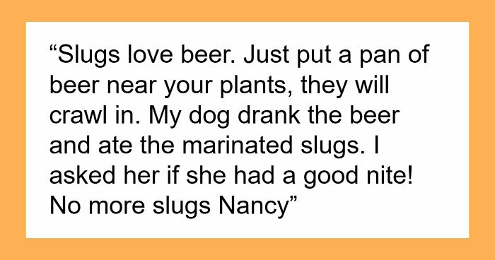 80 Of The Most Hilarious Posts From People Born Before The Internet Existed