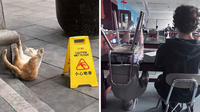 97 Funny Posts That Show Why Cringe Humor Has No Limits