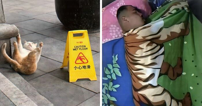 97 Funny Posts That Show Why Cringe Humor Has No Limits