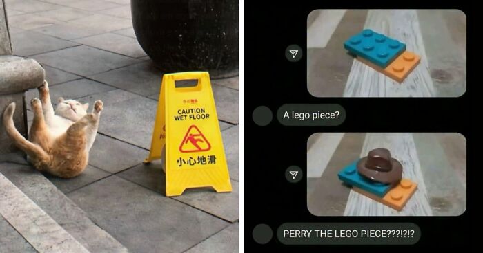 97 Funny Posts That Show Why Cringe Humor Has No Limits