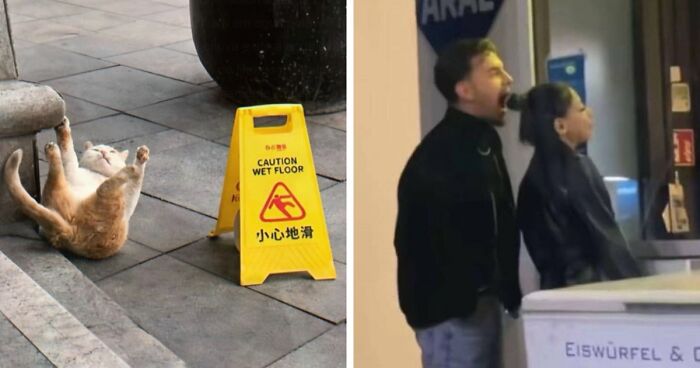 97 Funny Posts That Show Why Cringe Humor Has No Limits