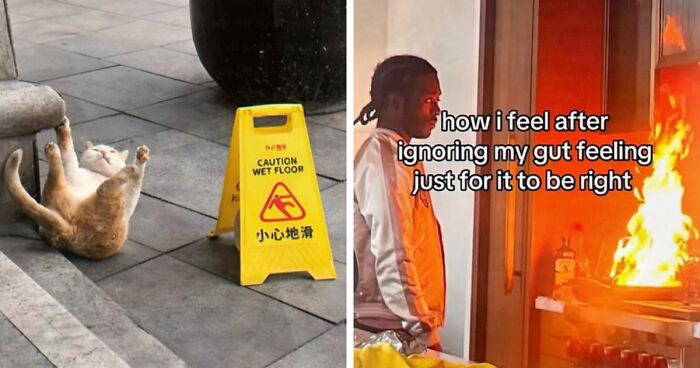 97 Funny Posts That Show Why Cringe Humor Has No Limits