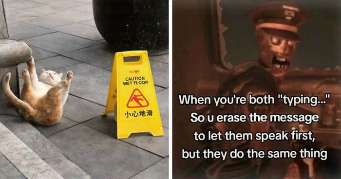 97 Funny Posts That Show Why Cringe Humor Has No Limits