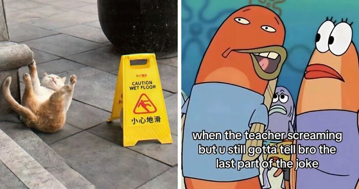 97 Funny Posts That Show Why Cringe Humor Has No Limits